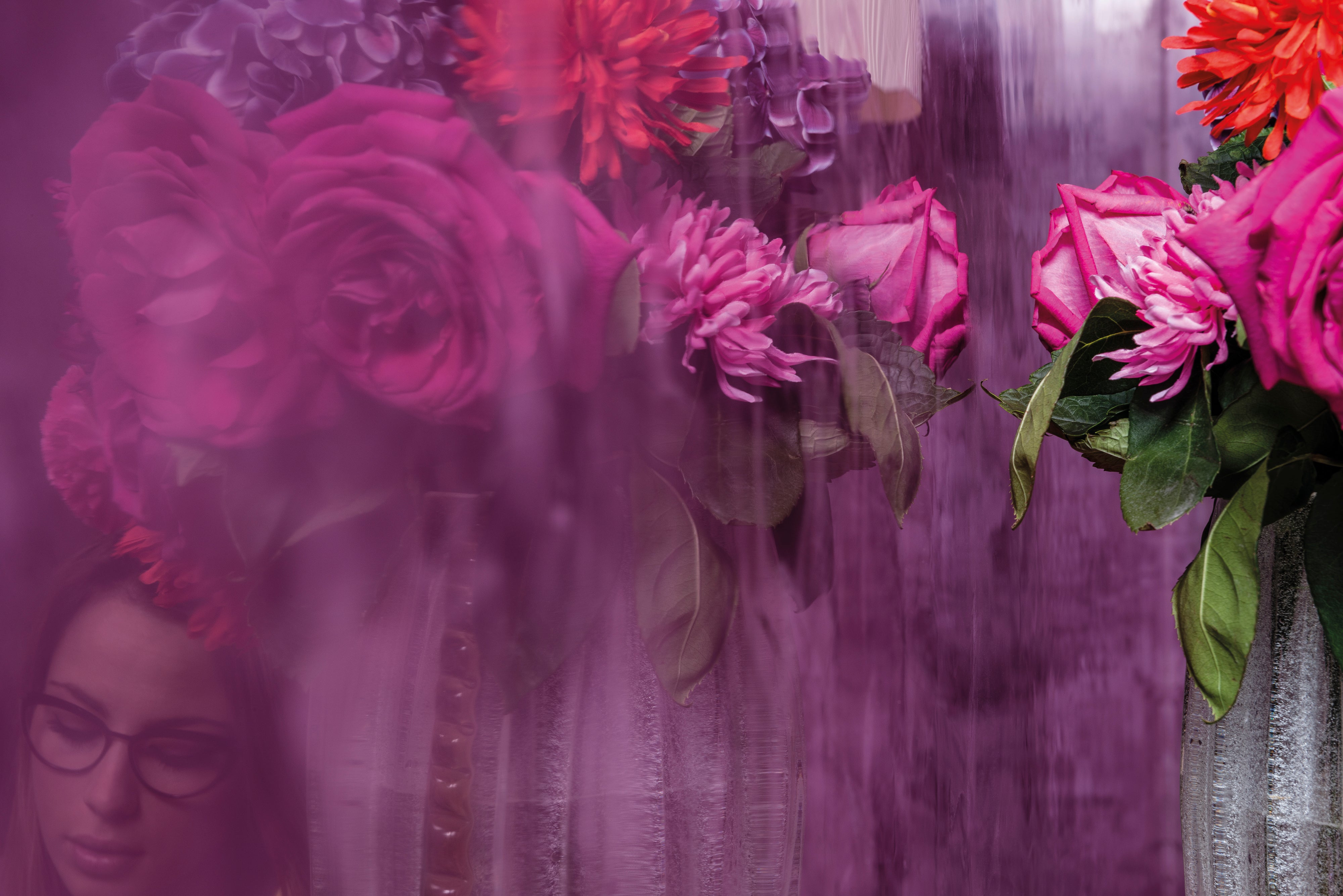 Purple Lucidato polished plaster reflection