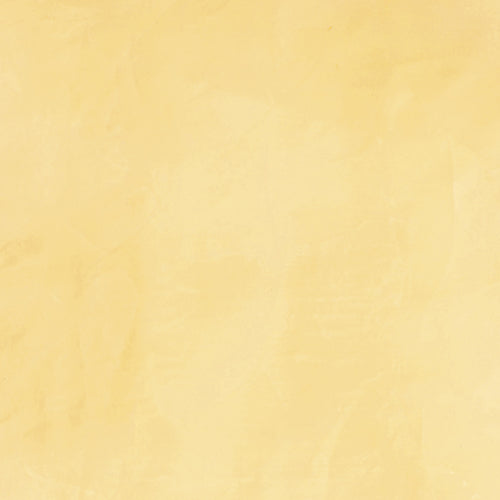 Lucidato 106 Polished Plaster