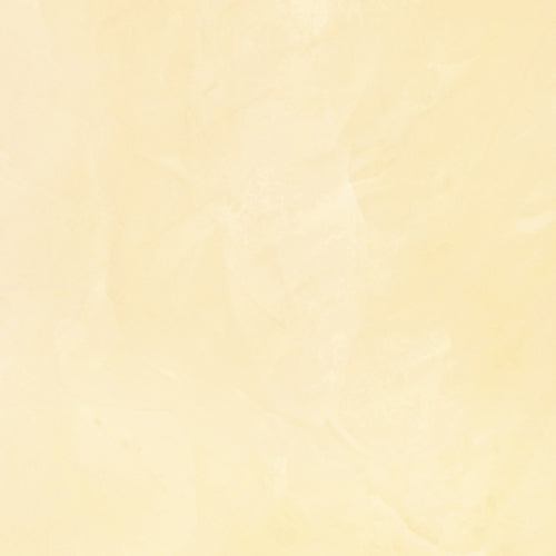 Texture 004 - The Polished Plaster Company
