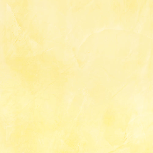 Lucidato 109 Polished Plaster