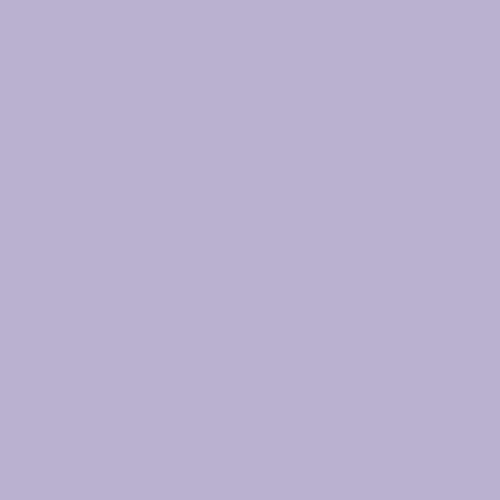 Lucidato 406 Polished Plaster